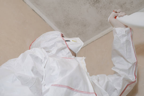 Best Mold Cleaning Services  in USA